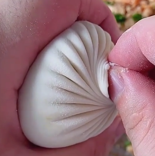 奥运美食-包子-褶子.png